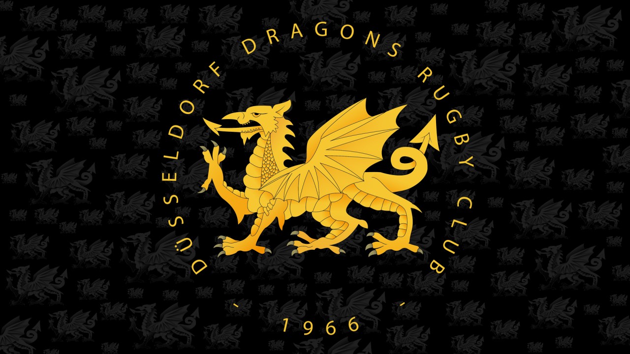 Das neue Logo der Düsseldorf Dragons
